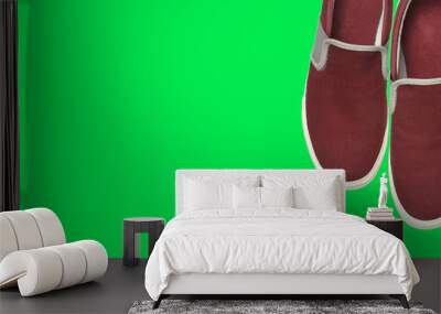 Casual brown sneakers on green background. Wall mural