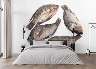 close up of Tilapia fish on white background Wall mural