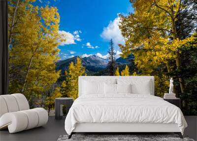 Wonderful Fall Color Aspen Colorado Wall mural