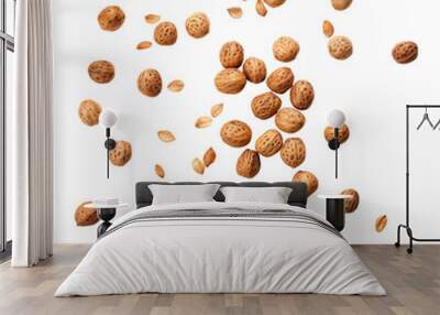  Falling tiger nuts TRANSPARENT PNG Wall mural