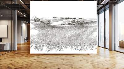 Vector sketch Green grass field on small hills. Meadow, alkali, lye, grassland, pommel, lea, pasturage, farm. Rural scenery landscape panorama of countryside pastures. illustration Wall mural