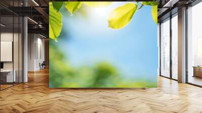 Vibrant green leaves glistening in the sunlight against a soft blue sky, evoking feelings of freshness and tranquility in nature. Wall mural