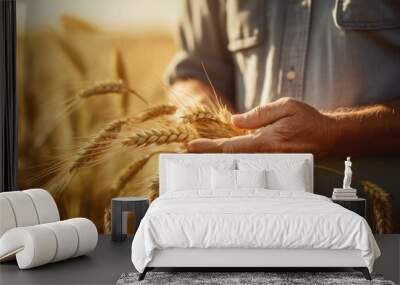 Male farmer checks the wheat sprouts in his field. Wall mural