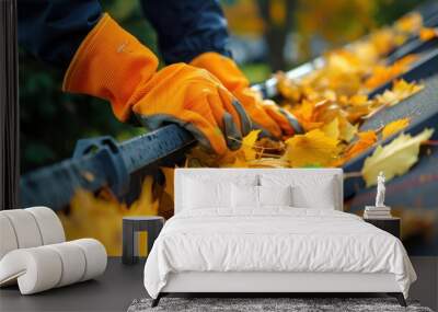 The gloved hand cleaning leaves Wall mural