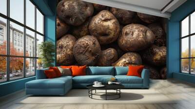 The raw harvested potatoes Wall mural