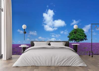 lavender fields and lone tree Wall mural