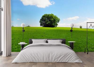 a tree on a green summer meadow with blue sky Wall mural