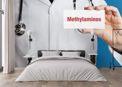 Methylamines. Doctor in smock holds up business card. The term Methylamines is in the sign. Symbol of disease, health, medicine Wall mural