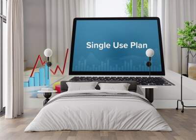 Single Use Plan – Statistics/Business. Laptop in the office with term on the Screen. Finance/Economy. Wall mural