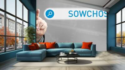 Sowchose. Mann im Anzug zeigt mit dem Finger auf ein Suchfeld. Das Wort Sowchose steht in der Suche. Symbol für Business, Finanzen, Statistik, Analyse, Wirtschaft Wall mural