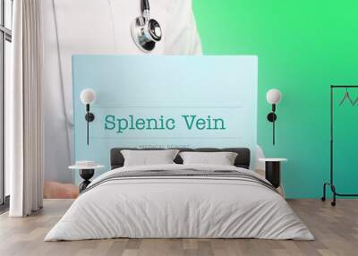 Splenic Vein. Doctor (male) with stethoscope holds medical report in his hands. Cutout. Green turquoise background. Text is on the documents. Healthcare/Medicine Wall mural