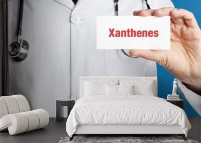 Xanthenes. Doctor in smock holds up business card. The term Xanthenes is in the sign. Symbol of disease, health, medicine Wall mural