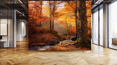 Forest with a Stream, Beautiful Landscape, Autumn Season Wall mural