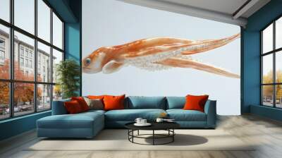 14. **A 3D render of a whole squid falling, its elongated body and tentacles set against a pristine white backdrop Wall mural