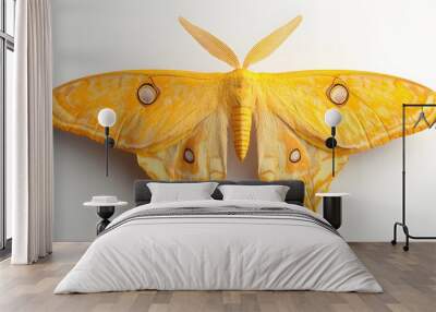 58. A lifelike 3D render of a large yellow moth with detailed wing patterns, isolated on a pristine white background Wall mural