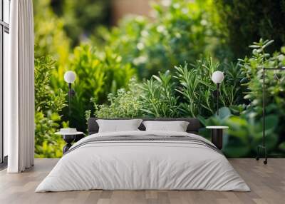 61. **A close-up of fresh herbs like rosemary and thyme growing in a garden. Wall mural