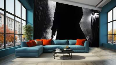 81. An artist in a noir style, mysterious and enigmatic Wall mural