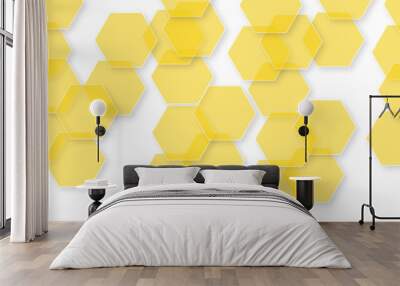 Abstract white background with hexagon and hexagonal background. Luxury white pattern with hexagons. abstract 3d hexagonal background with shadow. 3D futuristic abstract honeycomb mosaic background. Wall mural