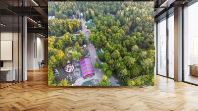 aerial top vie of city central park. amusement attractions among green trees Wall mural