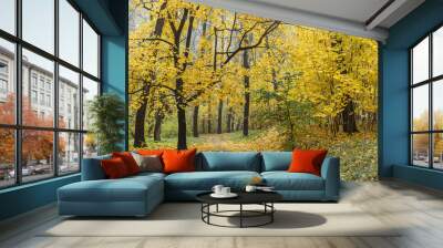 path through autumn forest with yellow trees. panoramic vibrant autumn scenery. Wall mural