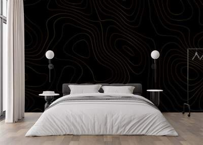 Geometric Topographic Map A Luxury Black and Gold Design with Grid Patterns and Contoured Terrain Lines in an Abstract Landscape Concept
 Wall mural