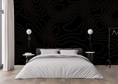 Geometric Topographic Map A Luxury Black and Gold Design with Grid Patterns and Contoured Terrain Lines in an Abstract Landscape Concept
 Wall mural