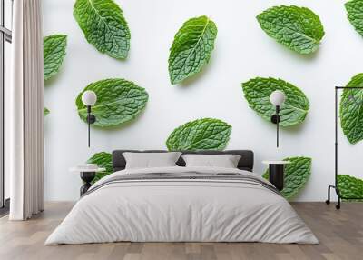 Freshly fallen mint leaves isolated on a white background in a flat lay arrangement Wall mural