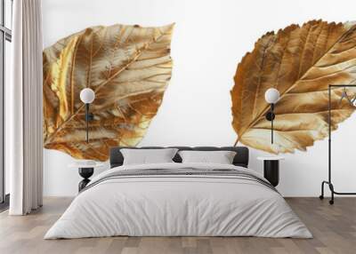 set of A beech leaf made of gold reflecting light on a transparent background Wall mural