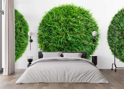 Set of A the grass round floating patch of short Artificial, on a transparent background Wall mural