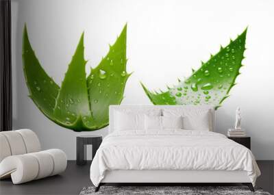 Set of Aloe Vera isolated on a transparent background Wall mural