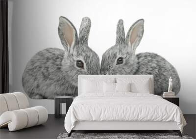 A pair of elegant rabbits, Cute Baby Bunny, Gray Rabbit, Fluffy Easter Bunny, Small Furry Rabbit, Young Brown Hare, Cute Fluffy Rabbit, Cute Fluffy Rabbit, on a transparent backgrounds Wall mural