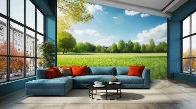 Beautiful green grass field and blue sky with sunlight. Natural background Wall mural