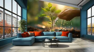 Human hand watering young plant in the morning. Earth day concept. Wall mural