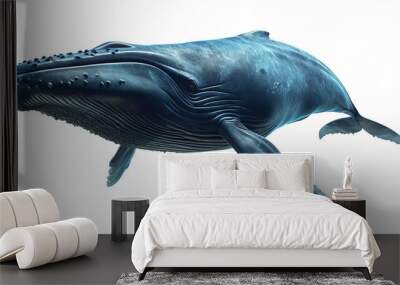 Big blue whale, cut out - stock png. Wall mural