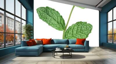 Fresh mint leaves, cut out - stock png. Wall mural