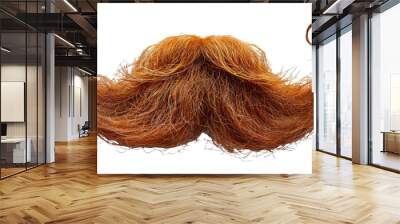 Orange abstract mustache design, cut out - stock png. Wall mural