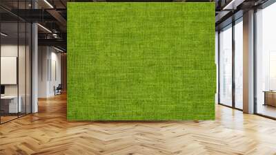 Soft textured green wall with natural grass pattern, ideal for nature-inspired design backdrop Wall mural