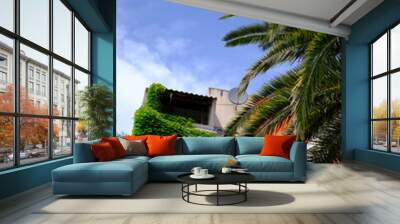 House that has braided grapes you can see the balcony and on it big flowers, cactus, agave, blue sky, palm trees. Summer terrace  Wall mural