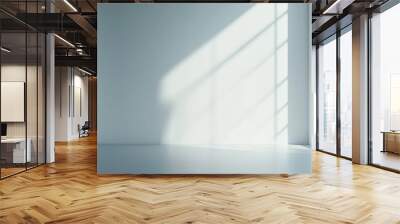 The space is empty and immaculate. a window and a white wall in an empty room. Wall mural