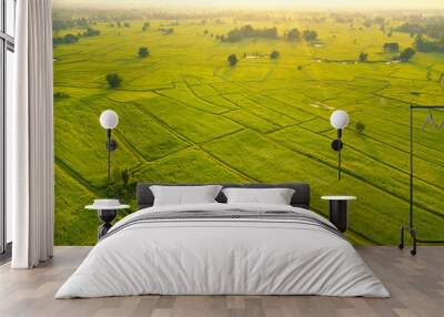 Beautiful aerial top view in Green Rice Field In Northern Of Thailand Wall mural