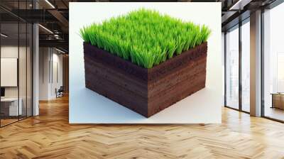 green grass  Wall mural