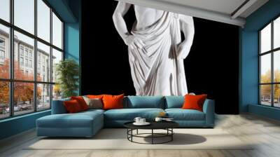 White marble classic statue of Asclepius isolated on black Wall mural