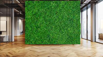 Top view of green grass texture background. Green grass background Wall mural