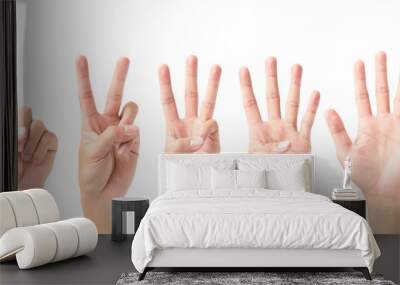 Set of number 1 2 3 4 5 with hand sign isolated on white background Wall mural