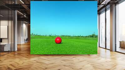 Contrasting of red demo golf ball and green golf course backgrou Wall mural