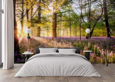 Amazing sunrise through Norfolk bluebell woodland Wall mural