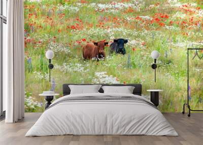 Two cows in wild flower meadow Wall mural