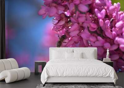 close up of pink flowers Wall mural