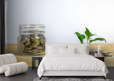 Money growing concept,Business success concept, Green environment investment concept.Trees growing on pile of coins isolated on white background. Malaysia coins. Wall mural