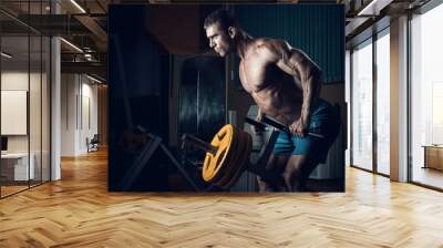 male bodybuilder, fitness model Wall mural